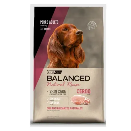 Balanced Cerdo Perro Adulto 15+3kg